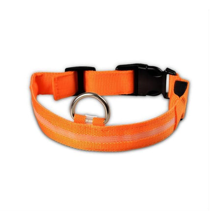 2-Piece Nylon LED Dog Collar Set – Light-Up Safety Collar for Night Walks