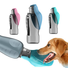 Collection image for: Dog Accessories
