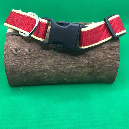 Soft Bamboo Dog Collar and Matching Lead – Free Engraving Included
