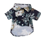 Black / 2XL