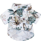 White coconut tree / 2XL