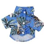 Blue / 2XL