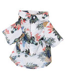White / 2XL