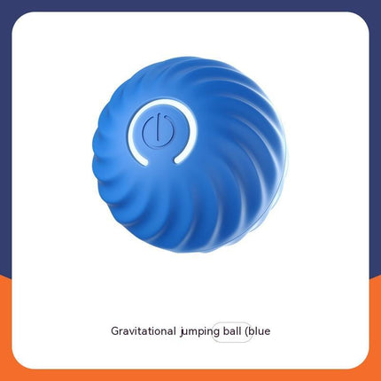 Durable Rubber Ball for Dogs – Chew Toy for Medium and Large Pets
