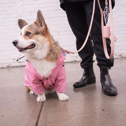 Waterproof Dog Raincoat – Windproof Padded Jacket for Small Dogs