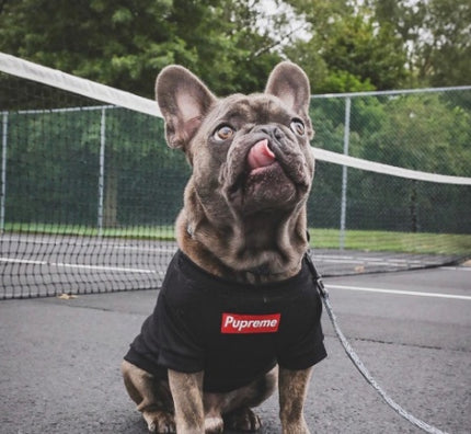 Summer Dog Shirt – Lightweight and Breathable Pet Clothes