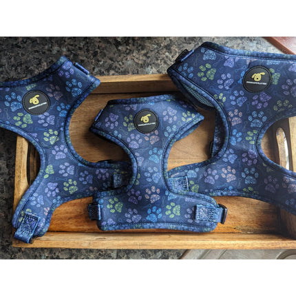 Finnigan Paws Up Designer Dog Harness – Adjustable Fit