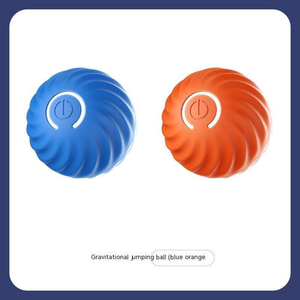 Durable Rubber Ball for Dogs – Chew Toy for Medium and Large Pets