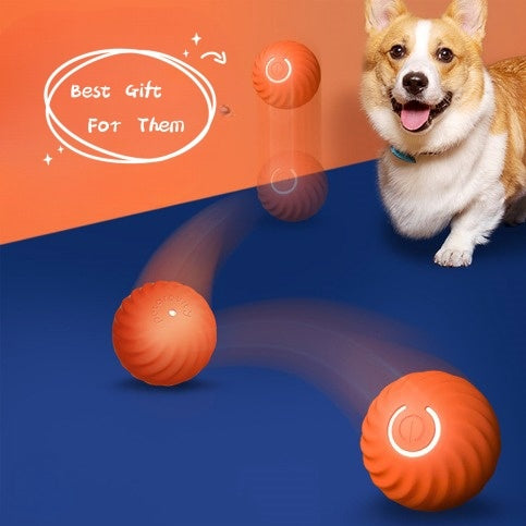 Durable Rubber Ball for Dogs – Chew Toy for Medium and Large Pets