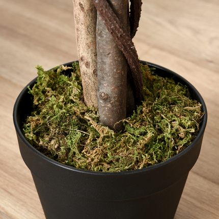 Artificial Ficus Silk Tree with Nursery Pot, Decorative Fake Plant, 160cm