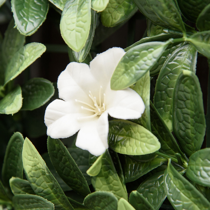 Transform Your Space: 12PCS Faux Rhododendron Greenery Wall Panels