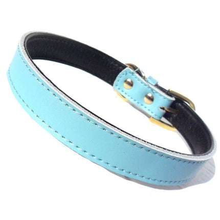 Chelsea Plain Dog Collars – 4 Sizes (8–16") – Adjustable Everyday Collar