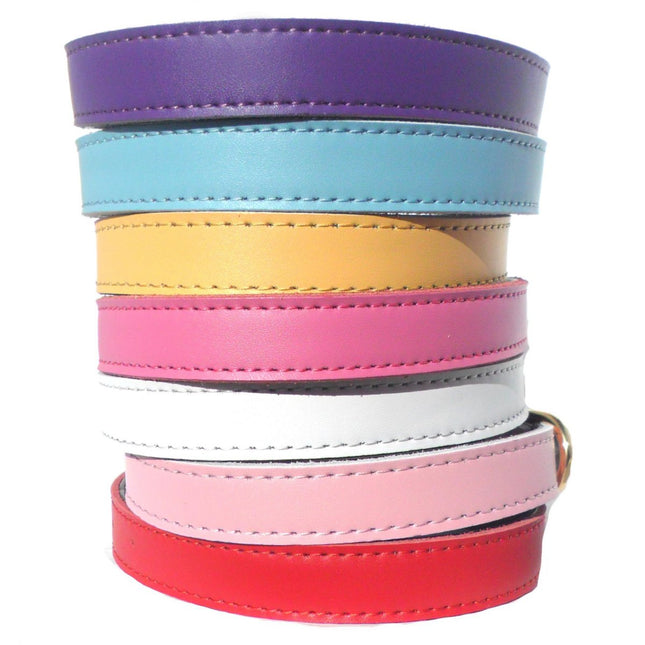 Chelsea Plain Dog Collars – 4 Sizes (8–16") – Adjustable Everyday Collar