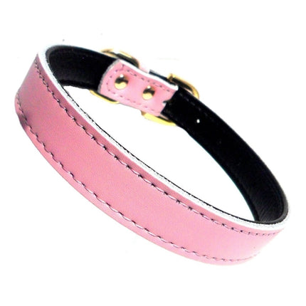 Chelsea Plain Dog Collars – 4 Sizes (8–16") – Adjustable Everyday Collar