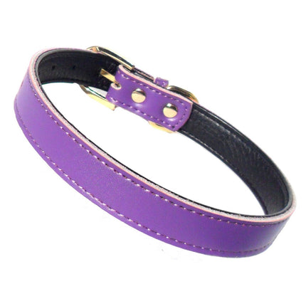 Chelsea Plain Dog Collars – 4 Sizes (8–16") – Adjustable Everyday Collar