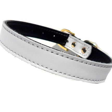 Chelsea Plain Dog Collars – 4 Sizes (8–16") – Adjustable Everyday Collar