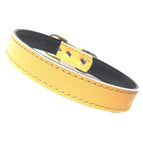 Medium / Yellow
