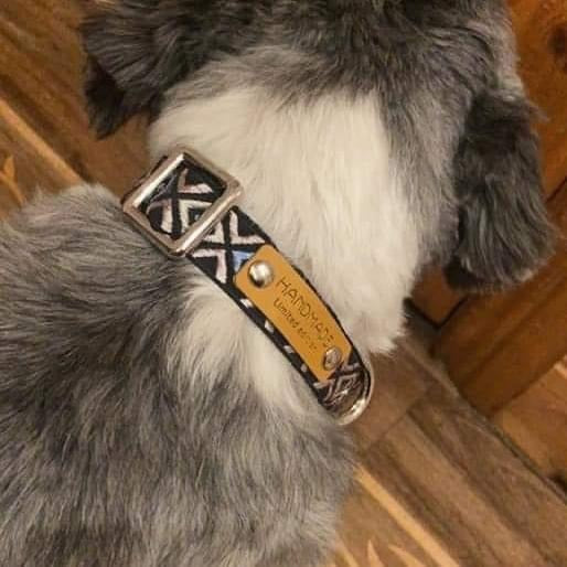 Wanderlust Dog Collar – Whisker-Wearer Design for Medium and Large Dogs