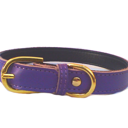Chelsea Plain Dog Collars – 4 Sizes (8–16") – Adjustable Everyday Collar