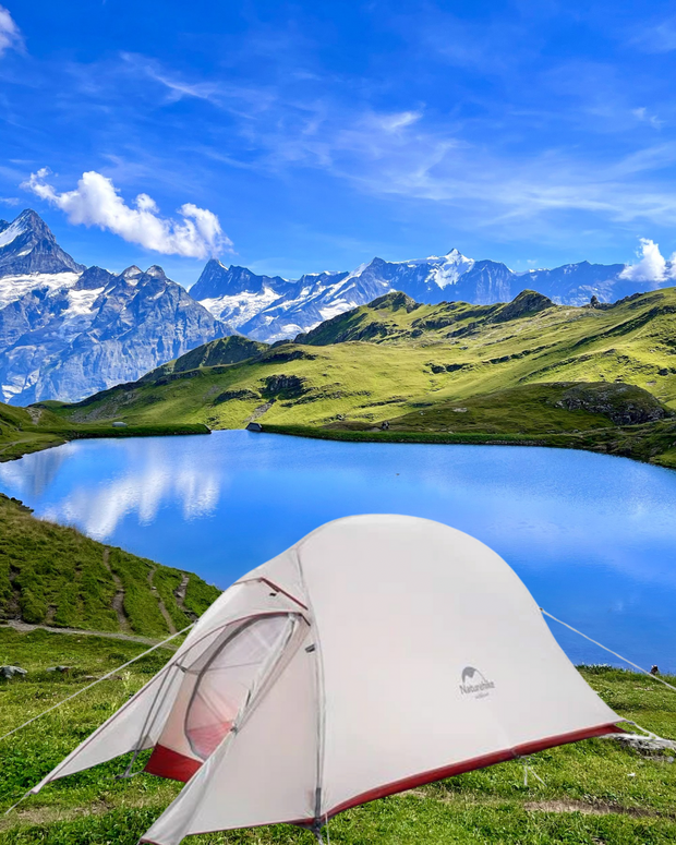 <h4><strong>New Camping Tent</strong></h4>