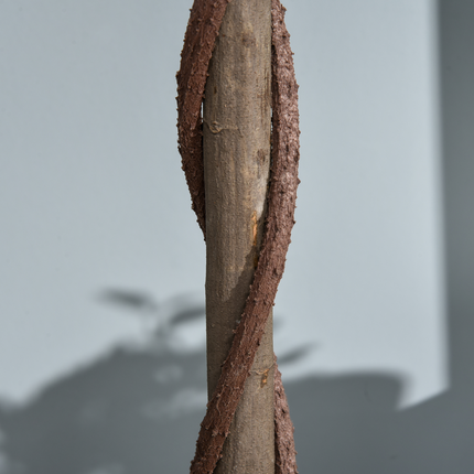 9.png