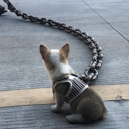 Heavy-Duty Plastic Dog Leash with Iron Chain – Large Hand-Held Rope