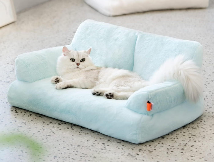 <h1>The perfect gifts  for Your cat</h1>