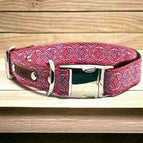 Large (38-60cm)