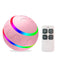 Dog Toys