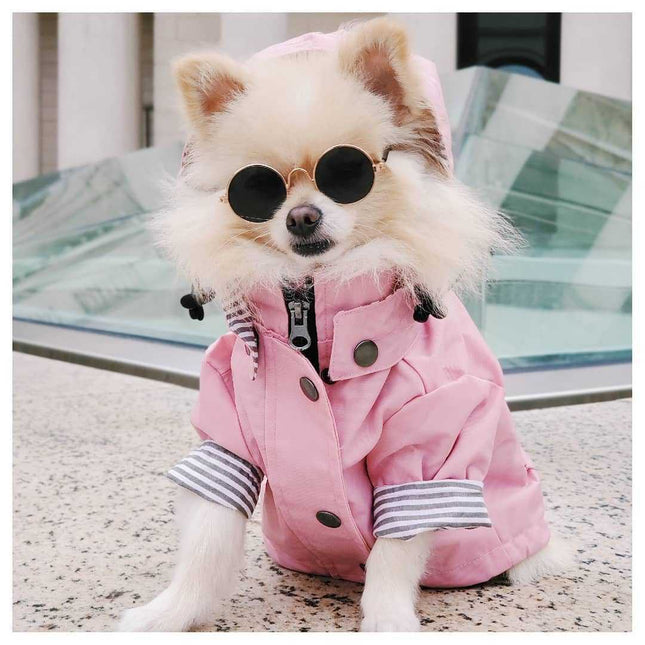 Windproof Padded Dog Raincoat