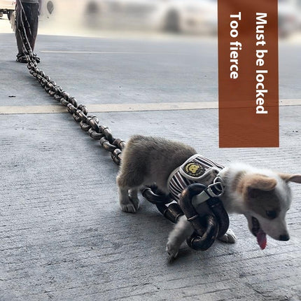 Heavy-Duty Plastic Dog Leash with Iron Chain – Large Hand-Held Rope