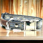 Medium  (31-50cm)