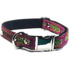 Finnigan No.13m Large Collar Only