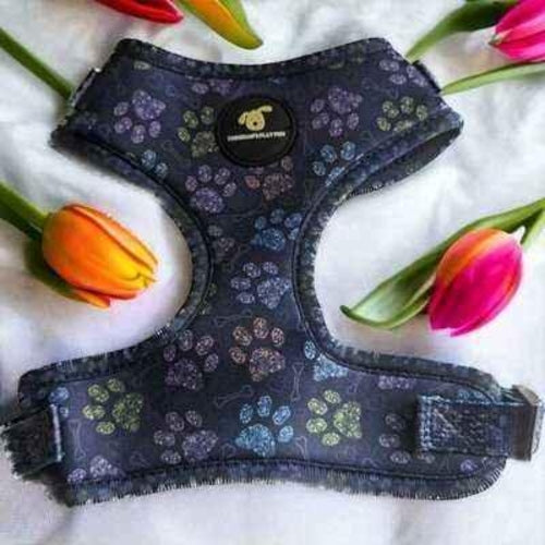 Finnigan Paws Up Designer Dog Harness – Adjustable Fit