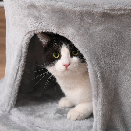Multi-Level Cat Tree Tower for Kittens – Scratching Post, Condo & Plush Perches