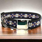 Large (38-60cm)