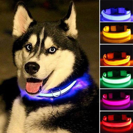 2-Piece Nylon LED Dog Collar Set – Light-Up Safety Collar for Night Walks