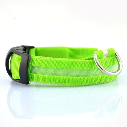2-Piece Nylon LED Dog Collar Set – Light-Up Safety Collar for Night Walks