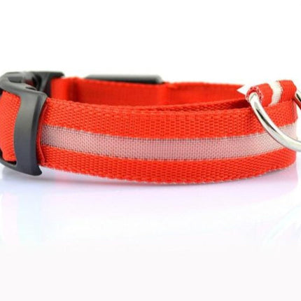 2-Piece Nylon LED Dog Collar Set – Light-Up Safety Collar for Night Walks