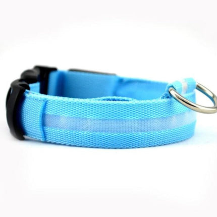 2-Piece Nylon LED Dog Collar Set – Light-Up Safety Collar for Night Walks