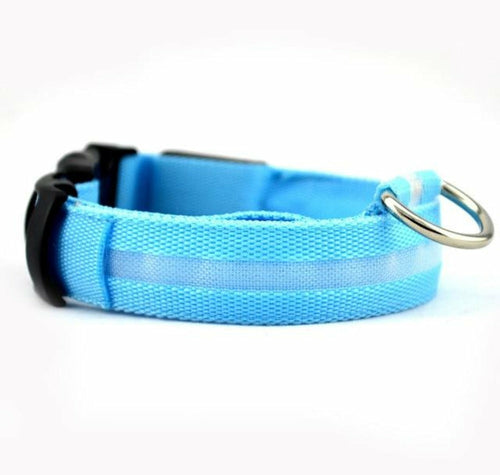 2-Piece Nylon LED Dog Collar Set – Light-Up Safety Collar for Night Walks