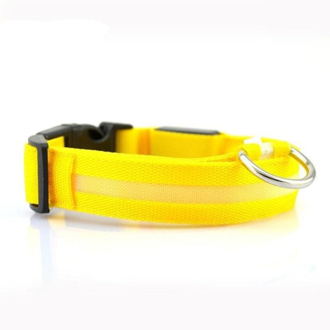 2-Piece Nylon LED Dog Collar Set – Light-Up Safety Collar for Night Walks
