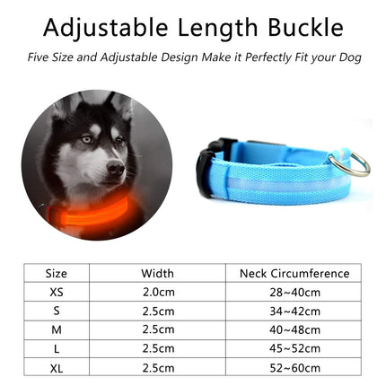 2-Piece Nylon LED Dog Collar Set – Light-Up Safety Collar for Night Walks