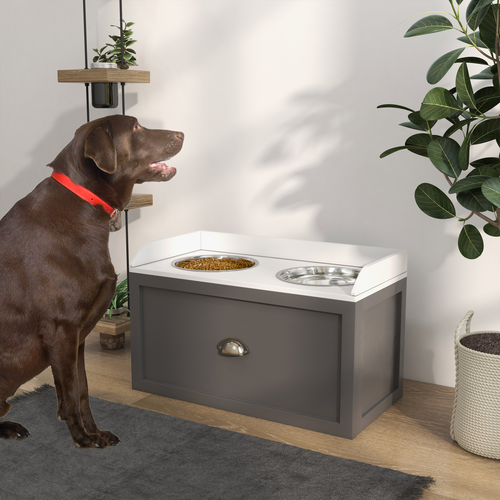 PawHut Stainless Steel Raised Bowl with 21L Storage – For Large Dogs