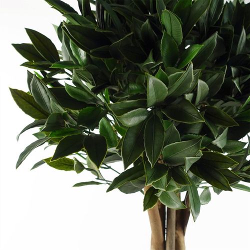 UV Resistant 120cm Artificial Bay Tree Topiary - Perfect for Outdoor Elegance!