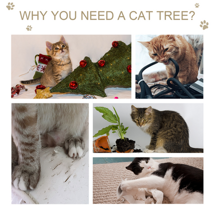 Multi-Level Cat Tree Tower for Kittens – Scratching Post, Condo & Plush Perches