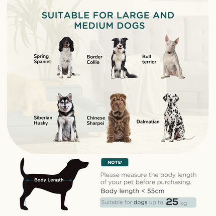 PawHut Dog Sofa Couch – Water-Resistant with Legs for Medium & Large Dogs – Green