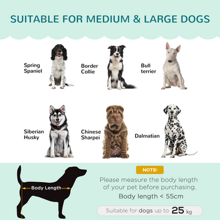 PawHut Dog Sofa Couch Bed – For Medium & Large Dogs – Legs & Cushion – Green